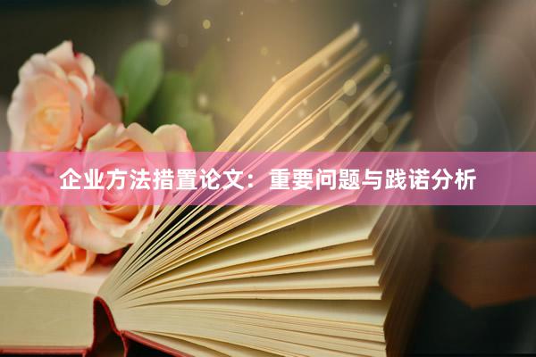 企业方法措置论文：重要问题与践诺分析
