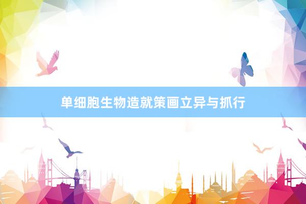 单细胞生物造就策画立异与抓行