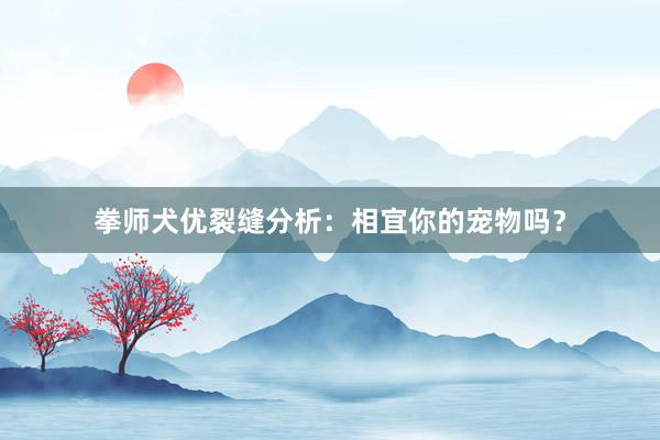 拳师犬优裂缝分析：相宜你的宠物吗？